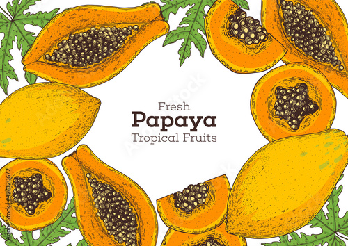 Papaya fruit hand drawn package design. Vector illustration. Design, package, brochure illustration. Packaging design. Hand drawn papaya fruits design template. Organic fresh food vector illustration.