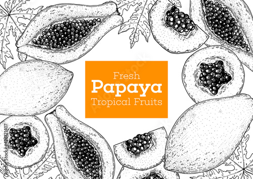 Papaya fruit hand drawn sketch design. Vector illustration. Design, package, brochure illustration. Packaging design. Hand drawn papaya fruits design template. Organic fresh food vector illustration.