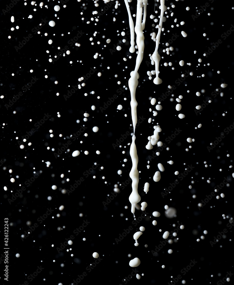 Obraz premium Splashes of white milk isolated on a black background.