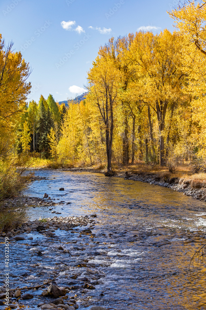 United States, Idaho,Sun Valley, Big Wood River flowing through autumn forest United States, Idaho,Sun Valley, Big Wood River flowing through autumn forest