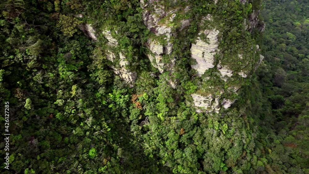 panoramic view of the wild forest of langkawi islands. panoramic view of the wild forest of langkawi islands.