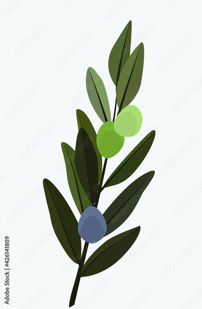 Obraz premium Three olives on a branch in flat style. Vector illustration in calm bright colors. Minimalistic drawing. Design for cards, posters, backgrounds, textiles, menus, emblems, templates.