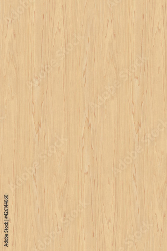 brown wooden tree timber background texture structure backdrop high size