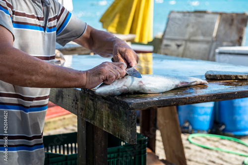 homem pescador limpando peixe na praia photo