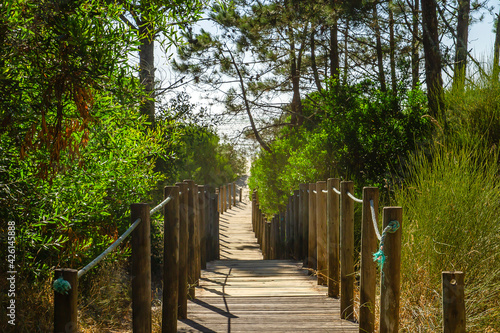 Fototapeta Naklejka Na Ścianę i Meble -  Wooden footbridge leading to the beach across the dunes in protected area