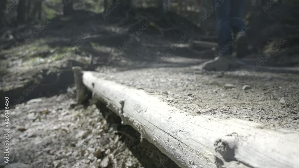 Medium low angle locked down shot of a hiker walking in the sunny forest and stepping onto a sunlit wooden step on the path. Medium low angle locked down shot of a hiker walking in the sunny forest and stepping onto a sunlit wooden step on the path.