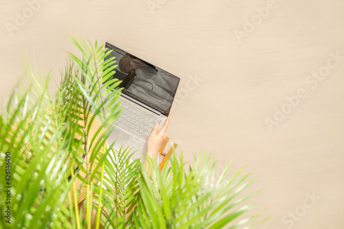 Woman freelancer in straw hat sitting under palm tree  branches on the sand of beachand working on laptop. Summer vacation. Top view photo