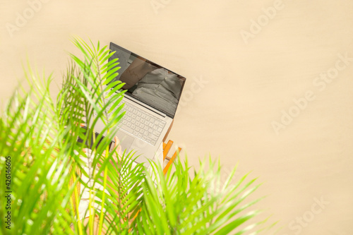 Woman freelancer in straw hat sitting under palm tree  branches on the sand of beachand working on laptop. Summer vacation. Top view photo