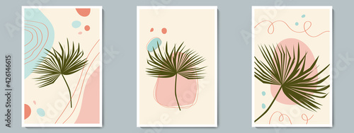 Botanical Wall Art Vector Poster Spring, Summer Set. Minimalist Tropical Plant with Abstract Shape and Line Pattern