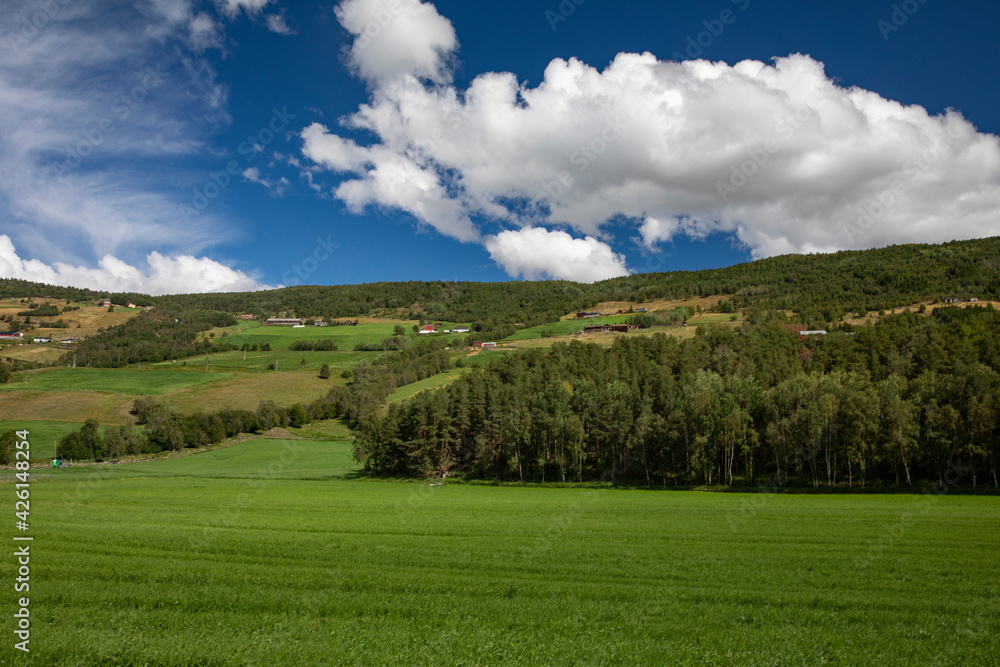 Summer in farmland at Dovre,Norway,scandinavia,Europe Summer in farmland at Dovre,Norway,scandinavia,Europe