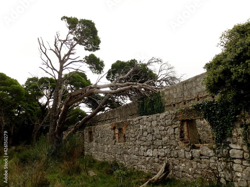 Canvas Print Fort Imperial. old town view