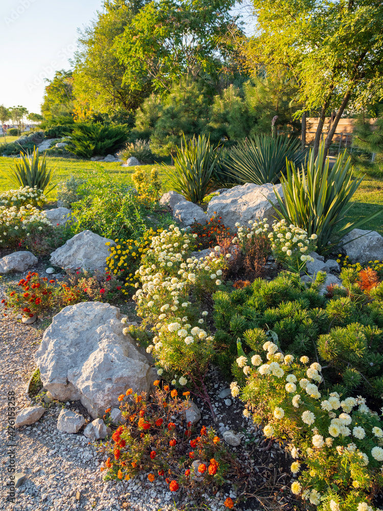 Naklejka premium Urban landscaping. Flower bed with colorful plants and bushes. Sunset light. Sochi, Russia.