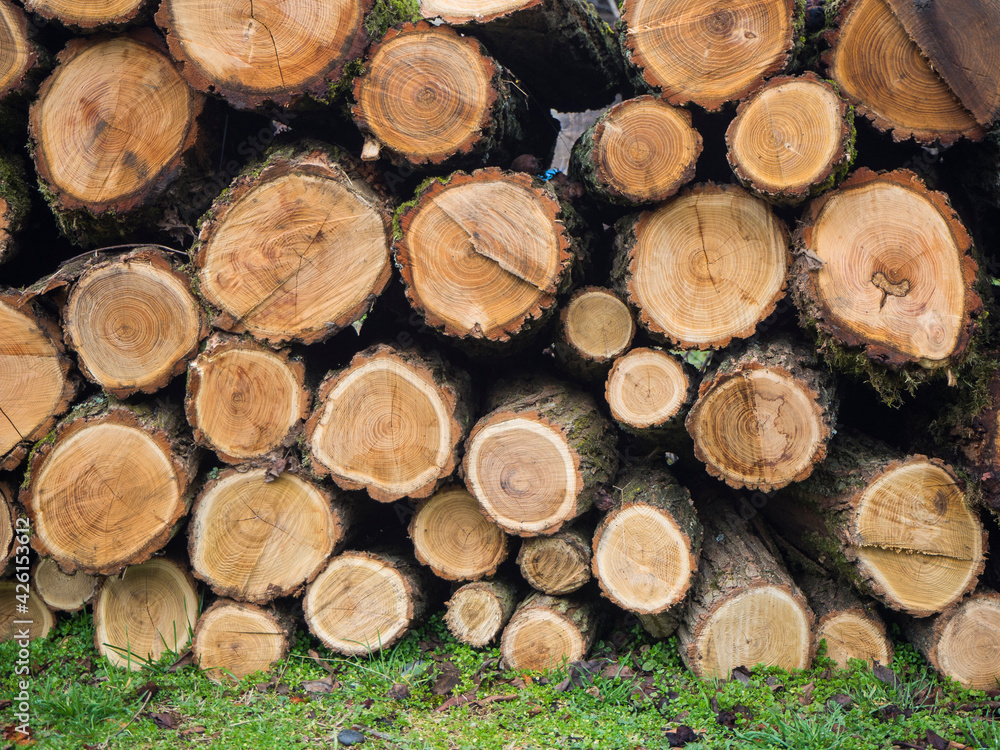 Wood stacked Wood stacked