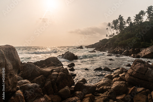 Tropikalny krajobraz skalny wybrzeża, ocean, palmy oraz kamienie.