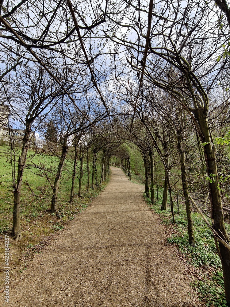 Im frühen Frühling lockt der bepflanzte Laubengang am Kloster Heiligenberg im Odenwald zu einem Besuch im Klostergarten Im frühen Frühling lockt der bepflanzte Laubengang am Kloster Heiligenberg im Odenwald zu einem Besuch im Klostergarten