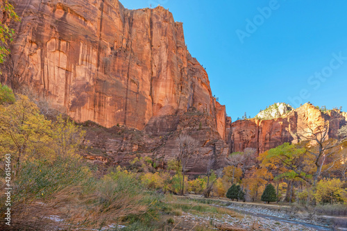 Beautiful landscapes  views of incredibly picturesque rocks and mountains in Zion National Park  Utah  USA