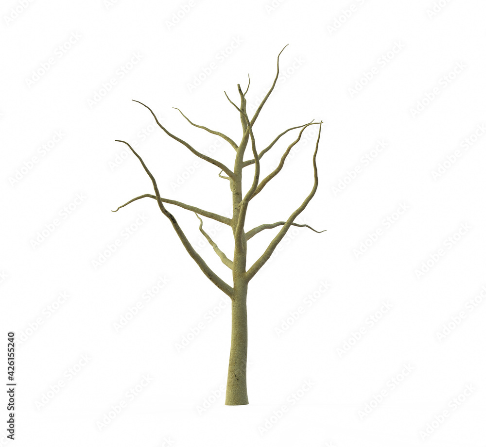 Realistic apple tree full of leaves isolated on a white. 3d render Realistic apple tree full of leaves isolated on a white. 3d render