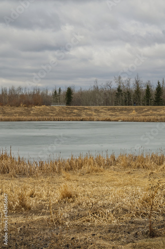 Pylypow in Early Spring