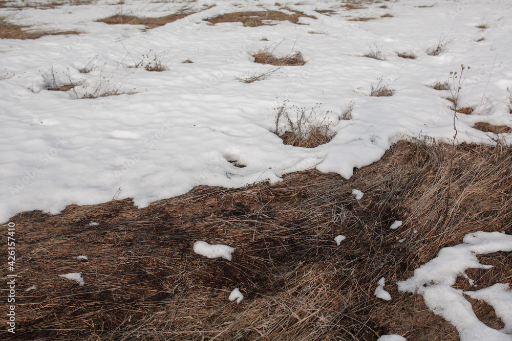 Snow melts on the grass in spring.