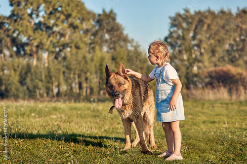 Girl playing in the meadow with a dog on a summer day © natabook2015