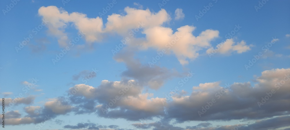 Fototapeta premium clouds in the sky