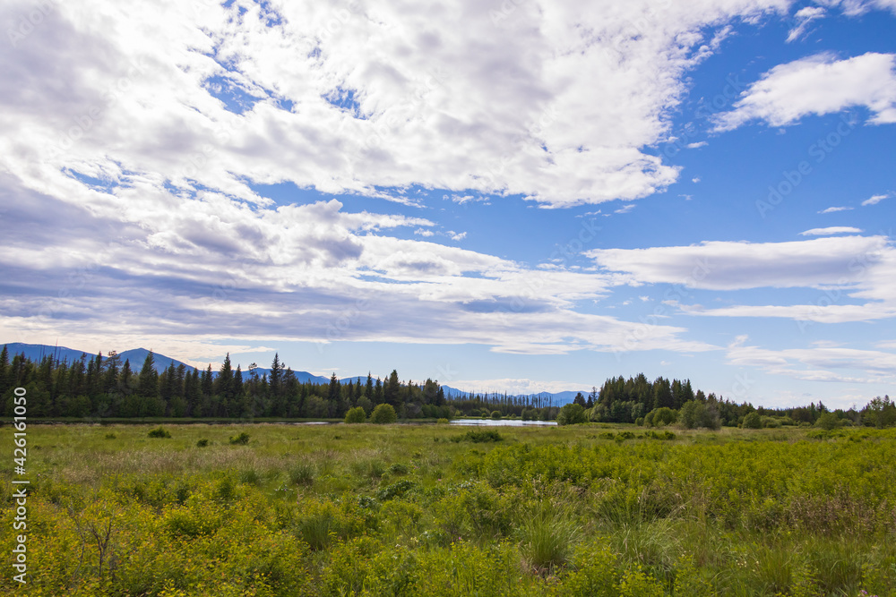 Hidden Meadow, Glacier National Park, Montana