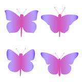 Set of gradient butterflies on a white background. Isolated vector image