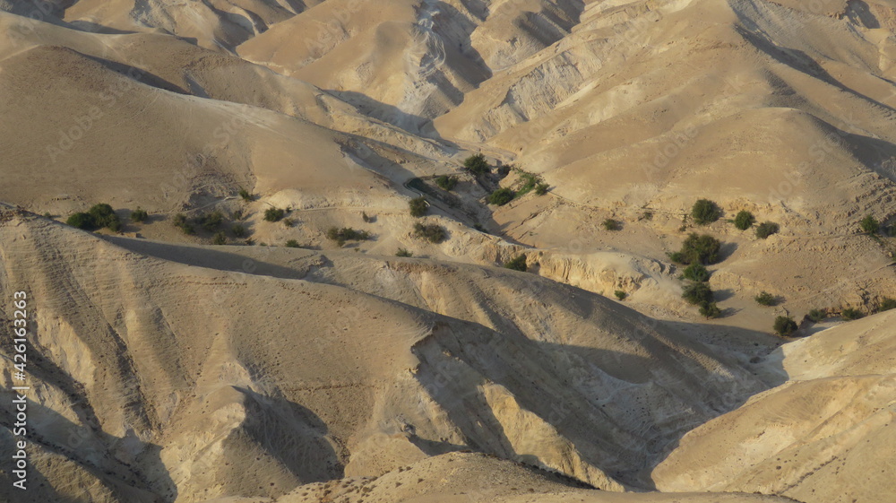 Fototapeta premium The Jude Desert in a hot day, Israel