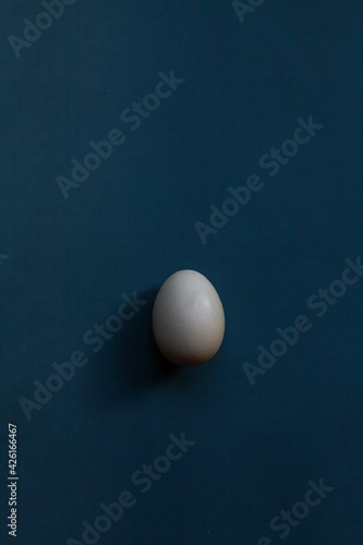 One egg . Single white poultry egg