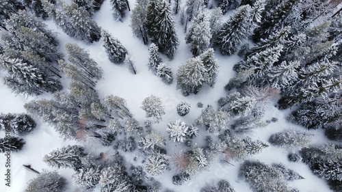 Aerial shot of snowy Umatilla National Forest in Tollgate, Oregon, the USA photo