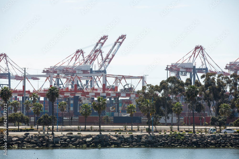 Cargo cranes offload cargo ships at a port.