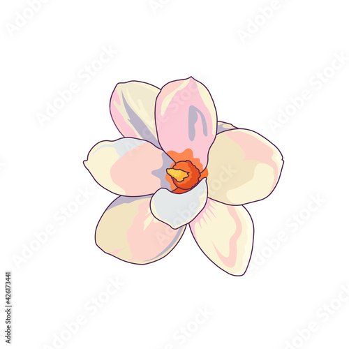 Beautiful blossom of Magnolia in Cartoon style  symbol of spring blooming tree with white petals on white isolated background  concept of Outdoor Plants  Parking trees  Botany  Blossoming Season.