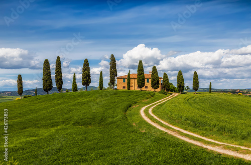 Rural landscape of Tuscany on a sunny summer day. Italy