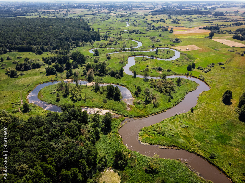 rzeka wieprz, lubelskie, lato