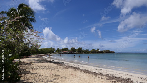 Fototapeta Naklejka Na Ścianę i Meble -  white sand beach with palm trees in Martinique 