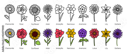 Flowers. Doodle vector set. Hand drawn line sketch floral collection. Types of flowers with names. Chamomile, rose, sunflower, aster, amaryllis, daffodil, anemone, lotus, lily and gerbera
