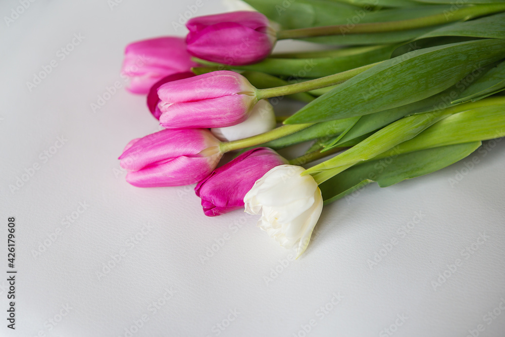 Beautiful spring bouquet with pink and white tulips on a white background. Beautiful spring bouquet with pink and white tulips on a white background.
