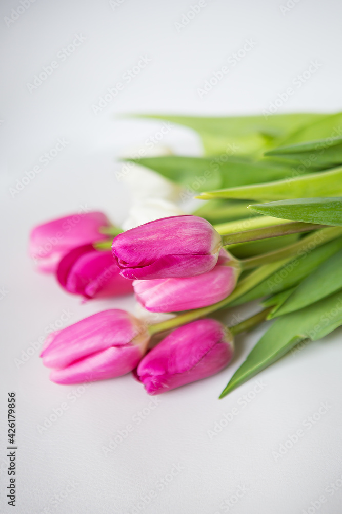 Beautiful spring bouquet with pink and white tulips on a white background. Postcard for the holidays. Beautiful spring bouquet with pink and white tulips on a white background. Postcard for the holidays.