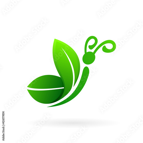 butterfly leaf vector
