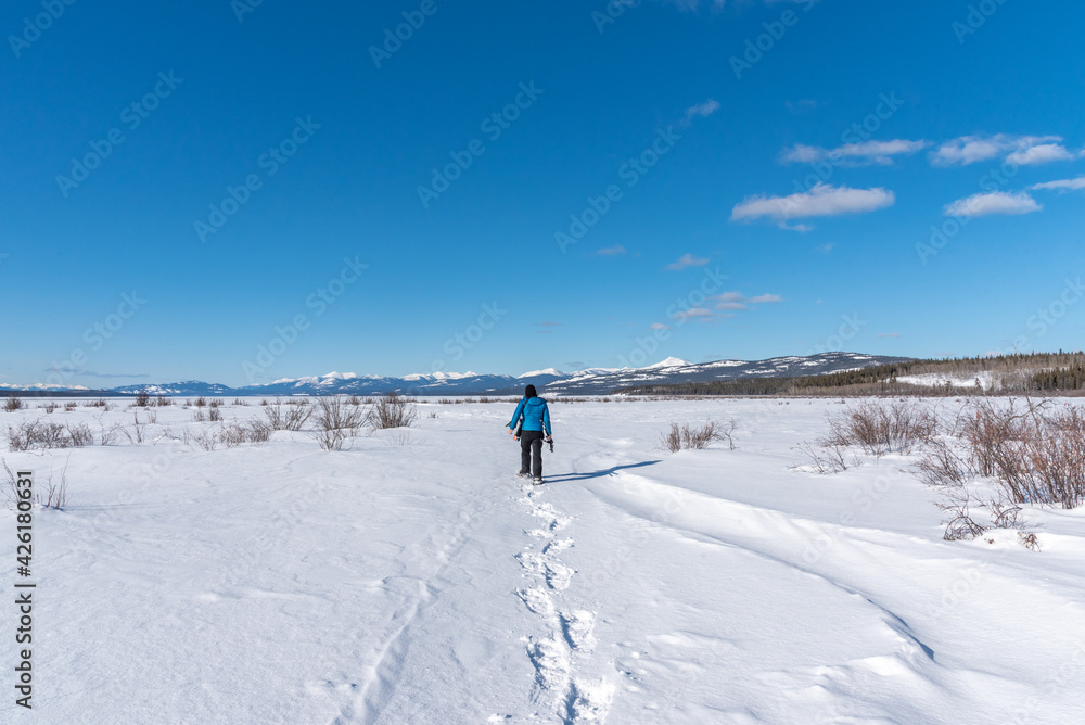 Stunning blue sky day in northern Canada, Yukon Territory during spring time with man snow shoeing on a frozen lake with mountains in background.