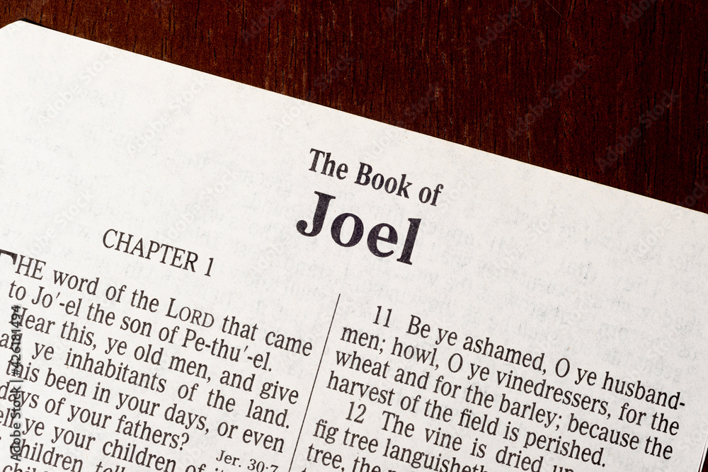 Obraz premium The Book of Joel Title Page Close-up