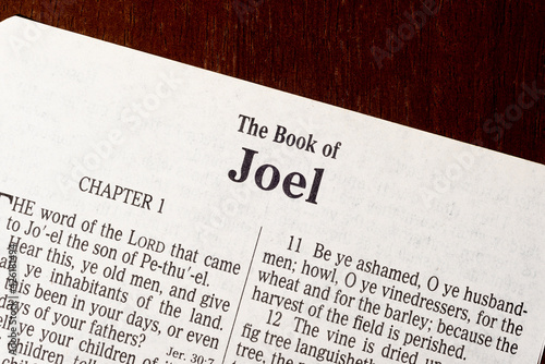 The Book of Joel Title Page Close-up