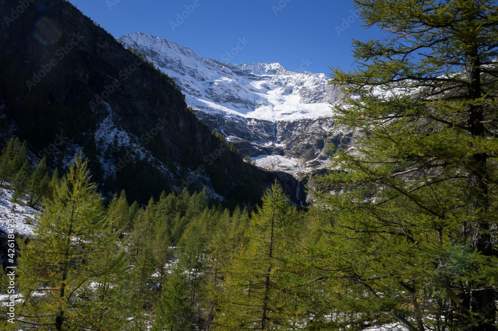 Obraz premium landscape