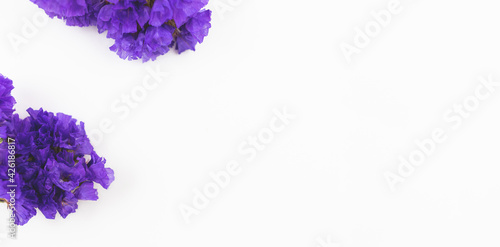 Colorful dried flower background, floral and flat lay composition banner with copy space on a white background
