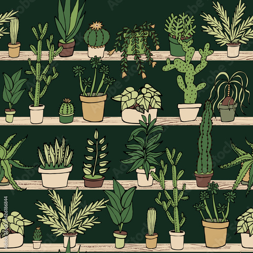 Cactus plants seamless vector hand drawn pattern