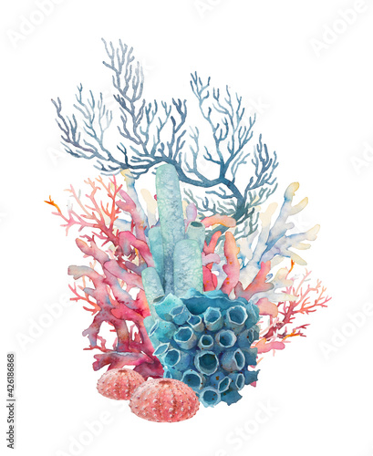 Fototapeta Naklejka Na Ścianę i Meble -  Watercolor coral illustration. Hand drawn isolated underwater branches, sea urchin composition on white background.