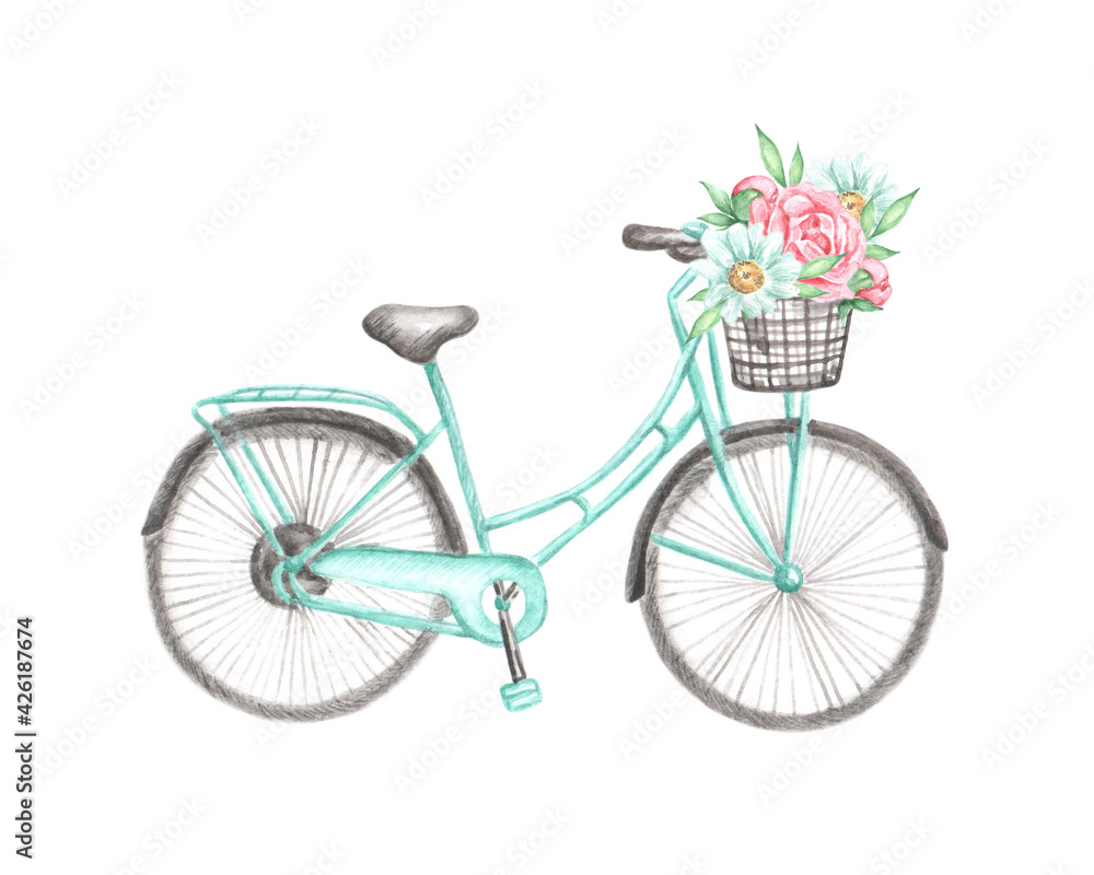 Watercolor illustration, postcard, print. Bicycle with a basket and flowers: peonies and daisies. Birch bike, bright flowers. Spring and summer print. For printing and electronic media.