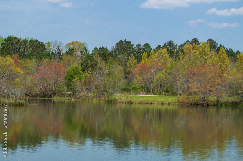 Spring Landscape with Trees, Little Mulberry Park, GA