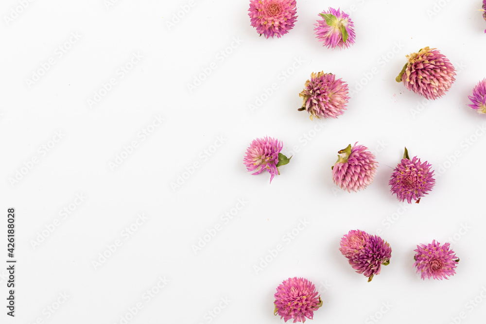 Dey flower buds composition on a white background