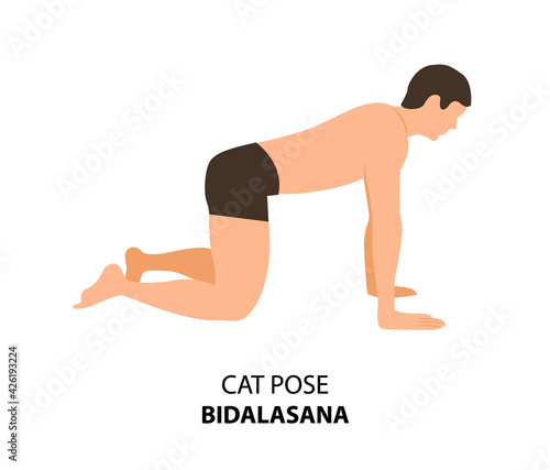 Man practicing yoga pose isolated Vector Illustration. Man standing in Cat Pose or Bidalasana, Yoga Asana icon